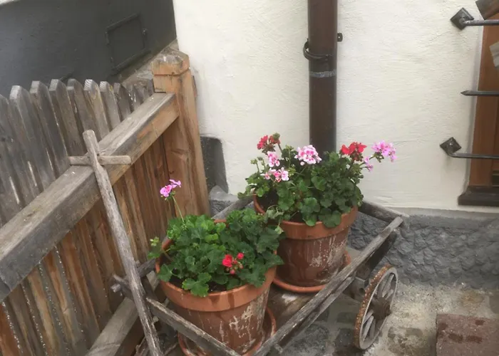 Baderhaus * Zell am See